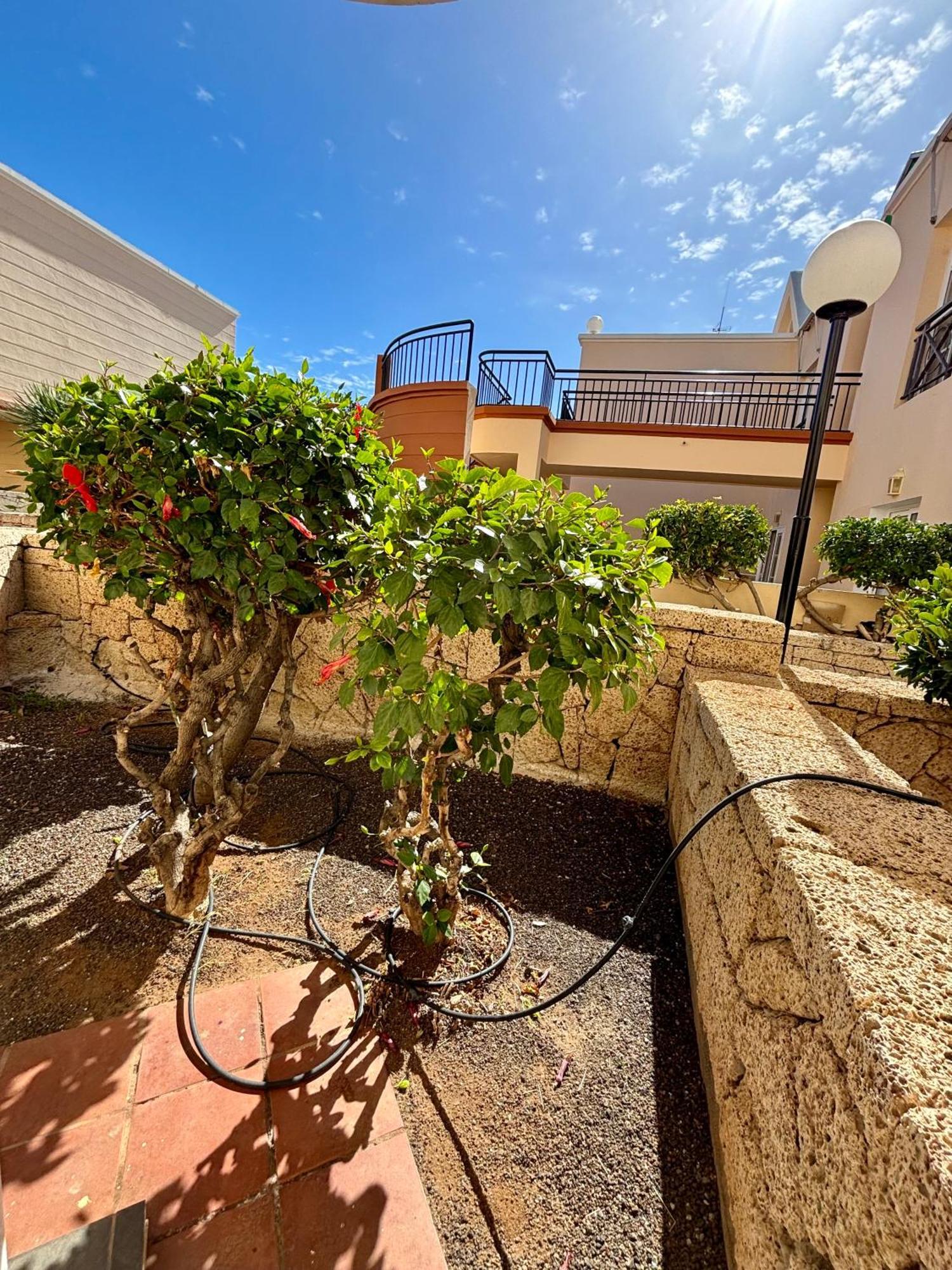 Apartment Clara Fanabe Costa Adeje  Ngoại thất bức ảnh